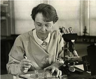 Celebrating Women’s History Month: Women in Biology Meet Barbara McClintock